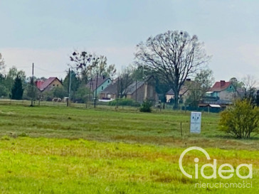 Działka Sprzedaż Miłowo
