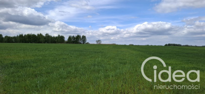 Działka Sprzedaż Bagna