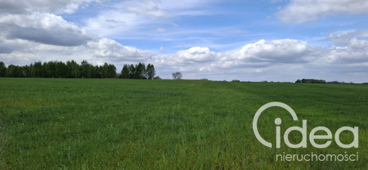 Działka Sprzedaż Bagna 2