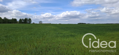 Działka Sprzedaż Bagna
