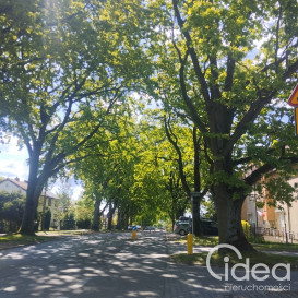 Mieszkanie Sprzedaż Szczecin Warszewo Szwedzka
