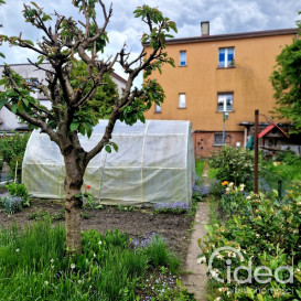 Mieszkanie Sprzedaż Goleniów Marii Dąbrowskiej