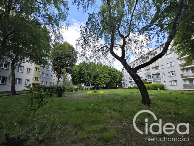 Mieszkanie Sprzedaż Szczecin Śródmieście-Centrum Odzieżowa 15