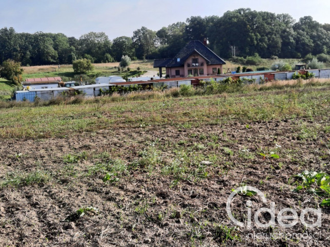 Działka Sprzedaż Kurów Na Klifie 10