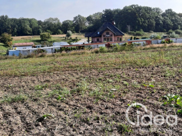 Działka Sprzedaż Kurów Na Klifie