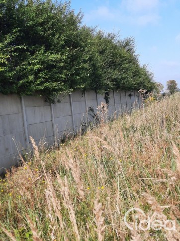 Działka Sprzedaż Kurów Na Klifie 15