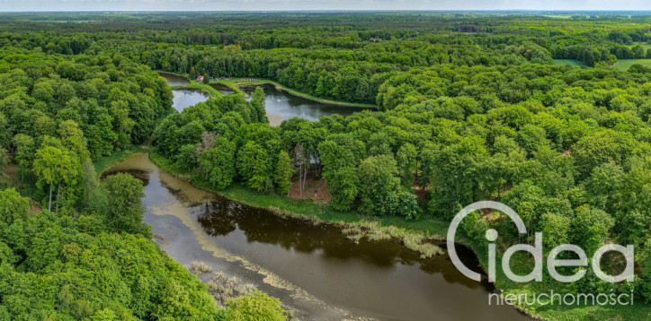 Działka Sprzedaż Wisławie 3