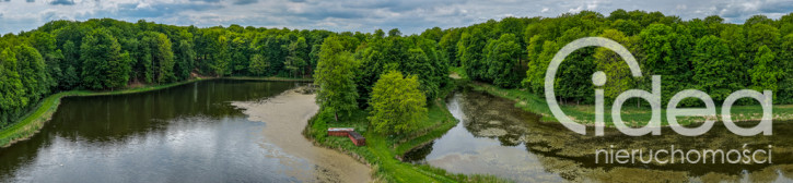 Działka Sprzedaż Wisławie 4