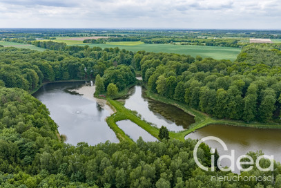 Działka Sprzedaż Wisławie
