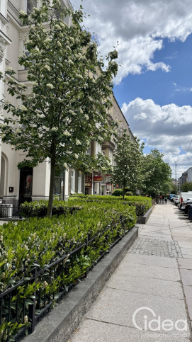Mieszkanie Sprzedaż Szczecin Centrum Monte Cassino 1