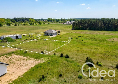 Działka Sprzedaż Białuń Jarzębinowa
