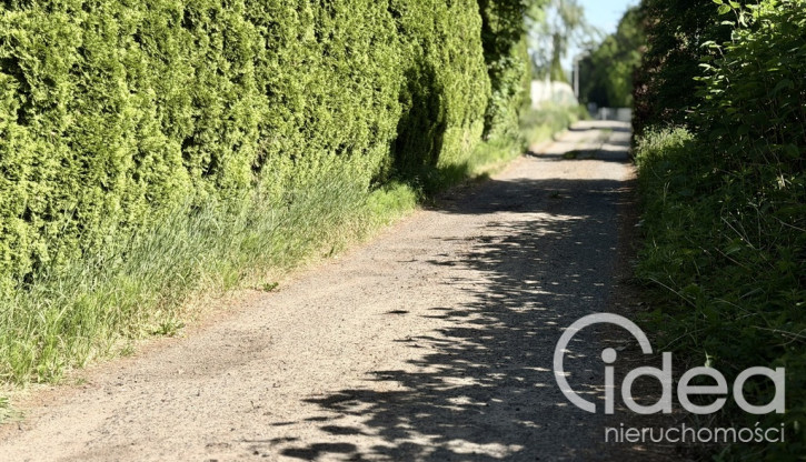 Działka Sprzedaż Dobra 2