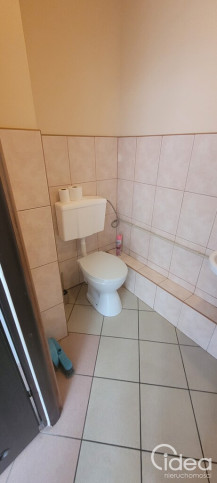 Lokal Wynajem Szczecin Śródmieście-Centrum 3