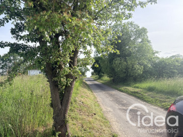 Działka Sprzedaż Przęsocin