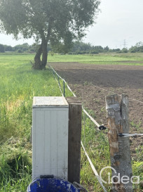 Działka Sprzedaż Przęsocin