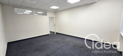 Lokal Wynajem Szczecin Śródmieście-Centrum