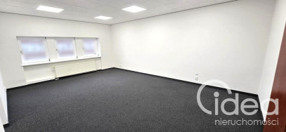 Lokal Wynajem Szczecin Śródmieście-Centrum