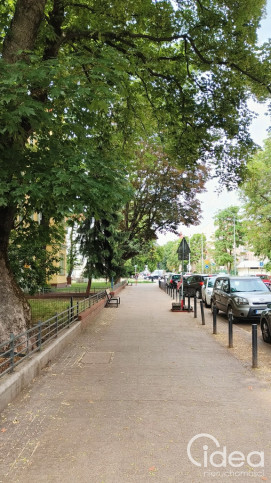 Mieszkanie Wynajem Szczecin Centrum Bolesława Śmiałego 11