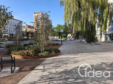 Lokal Wynajem Szczecin Centrum Aleja Wojska Polskiego
