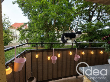 Mieszkanie Sprzedaż Szczecin Pogodno Reduty Ordona