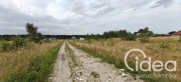 Działka Sprzedaż Białuń 8