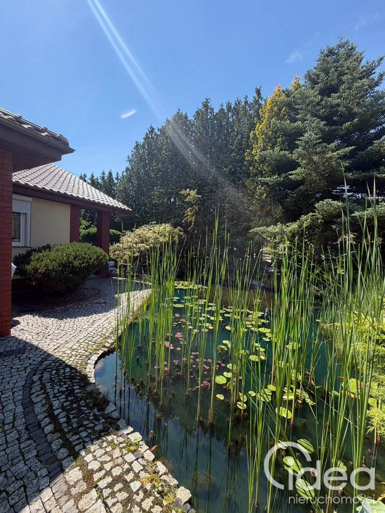 Dom Sprzedaż Bierzwnik Kwiatowa