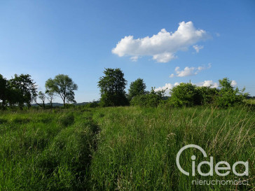 Działka Sprzedaż Binowo