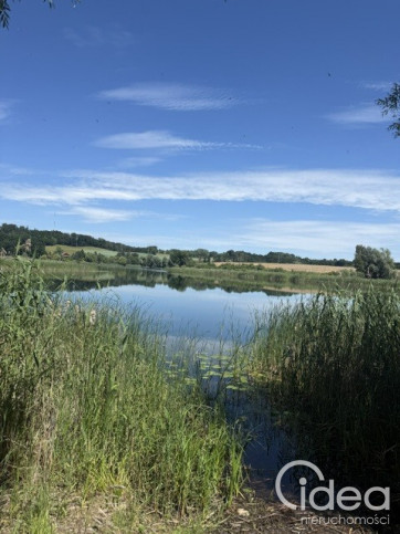 Działka Wynajem Binowo 1