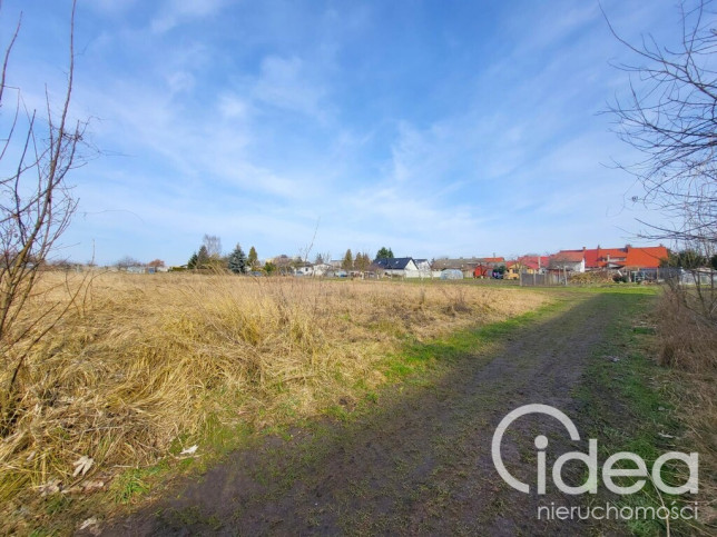 Działka Sprzedaż Koszewo 2