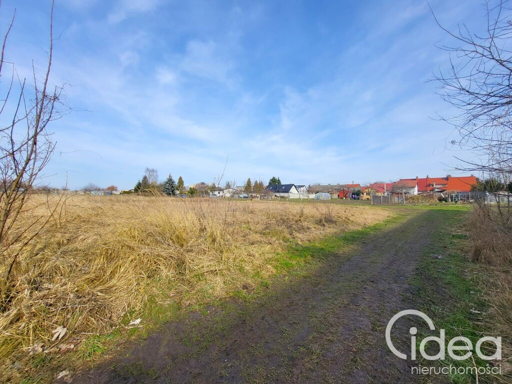 Działka Sprzedaż Koszewo