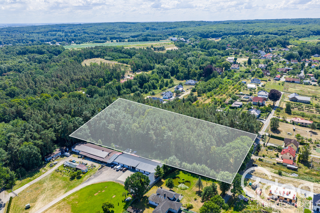 Działka Sprzedaż Szczecin Płonia