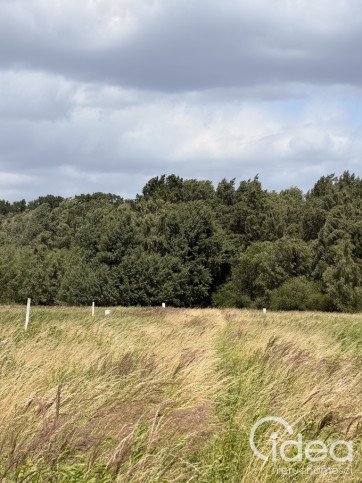 Działka Sprzedaż Niedźwiedź 5