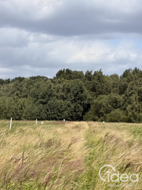 Działka Sprzedaż Niedźwiedź