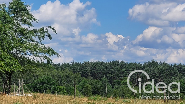 Działka Sprzedaż Wiśniewo 1