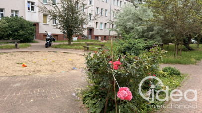 Mieszkanie Sprzedaż Szczecin Pogodno Spółdzielcza