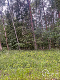 Działka Sprzedaż Piaseczno