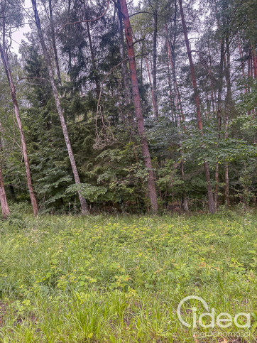 Działka Sprzedaż Piaseczno 8