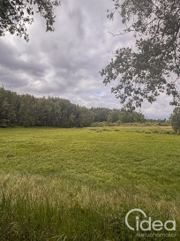 Działka Sprzedaż Piaseczno