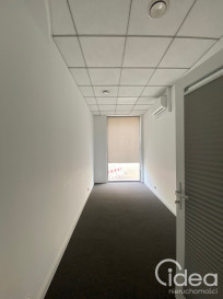 Lokal Wynajem Szczecin Centrum