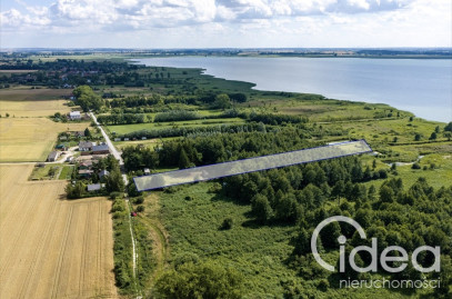 Działka Sprzedaż Wierzbno