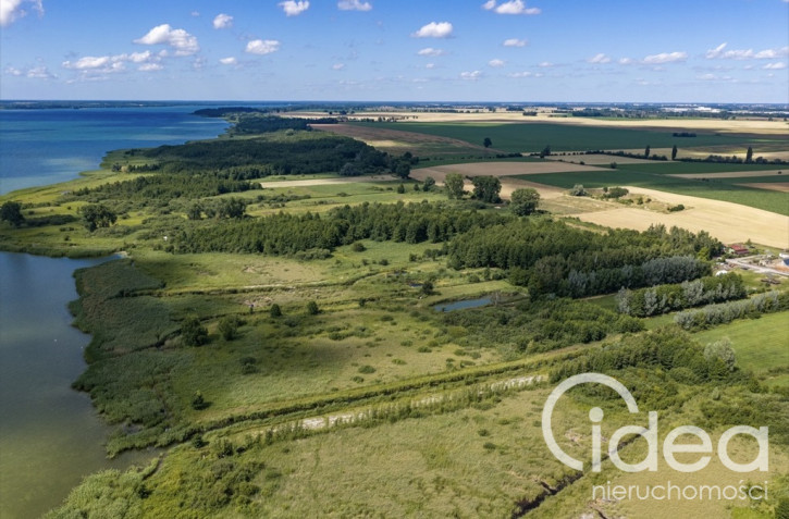 Działka Sprzedaż Wierzbno 5