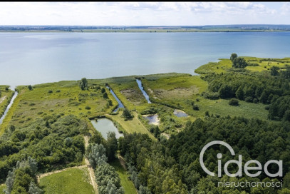 Działka Sprzedaż Wierzbno