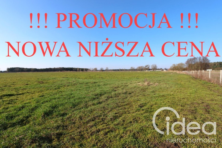 Działka Sprzedaż Lubczyna 1