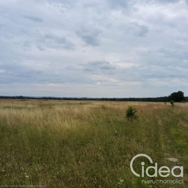 Działka Sprzedaż Buk