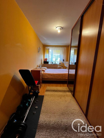 Mieszkanie Wynajem Szczecin Niebuszewo Łucznicza 3