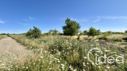 Działka Sprzedaż Wołczkowo
