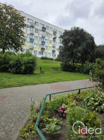 Mieszkanie Sprzedaż Szczecinek