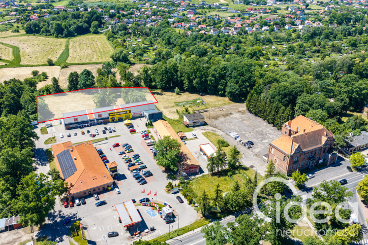 Działka Sprzedaż Chojna 1