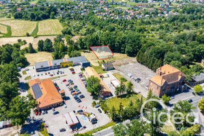 Działka Sprzedaż Chojna