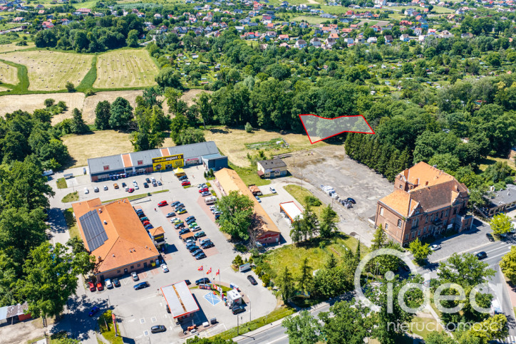 Działka Sprzedaż Chojna 1